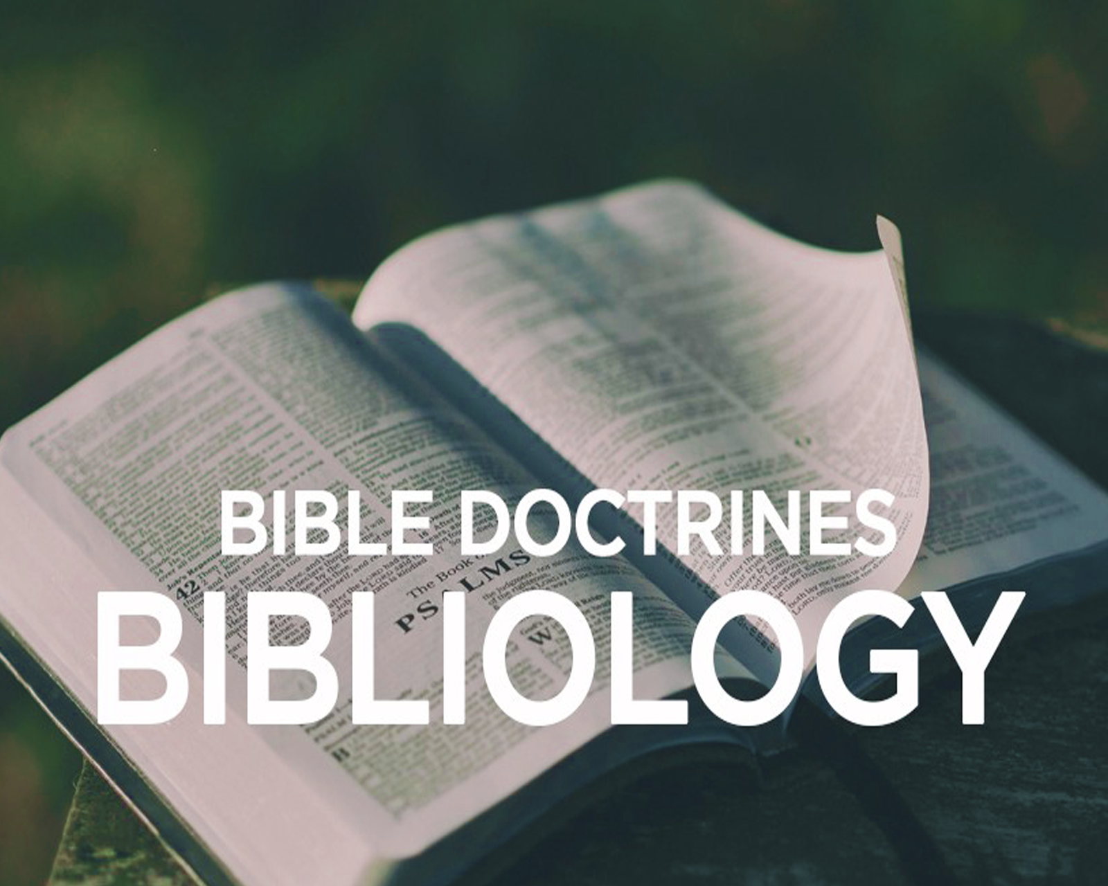 Bible Doctrines