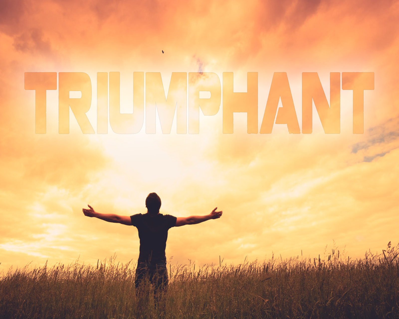 Triumphant Church